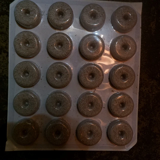 Mosquito Dunks (20 Pack) biological control pucks larvicide Summit brand