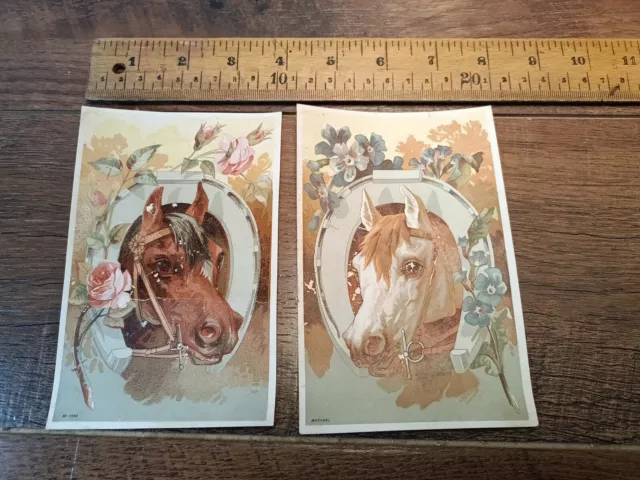 1880s trade cards. A.H. Gaige, Southside Drug Store Binghamton N.Y. Horses (M1)