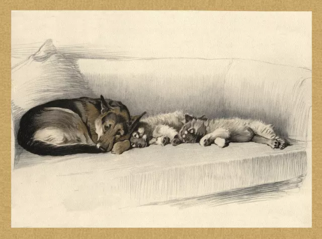 German Shepherd And Keeshond Puppies Sleeping Charming Dog Greetings Note Card