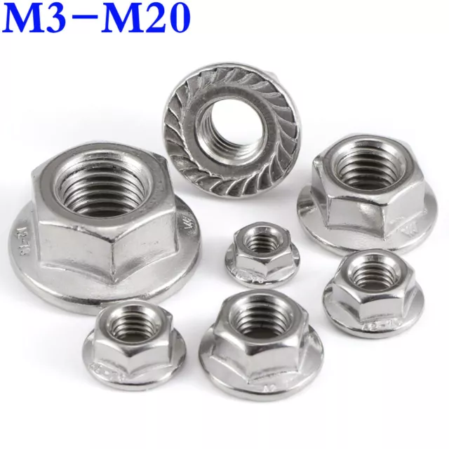 M3 M4 M5 M6 M8 M10 M12 M16 M20 Stainless Steel Serrated Hex Flanged Nut Lock Nut