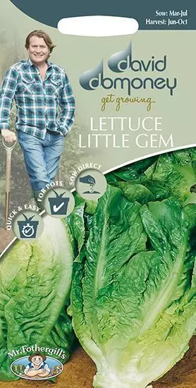 Lettuce little gem 500 fresh seeds    lettuce seeds    vegetable seeds