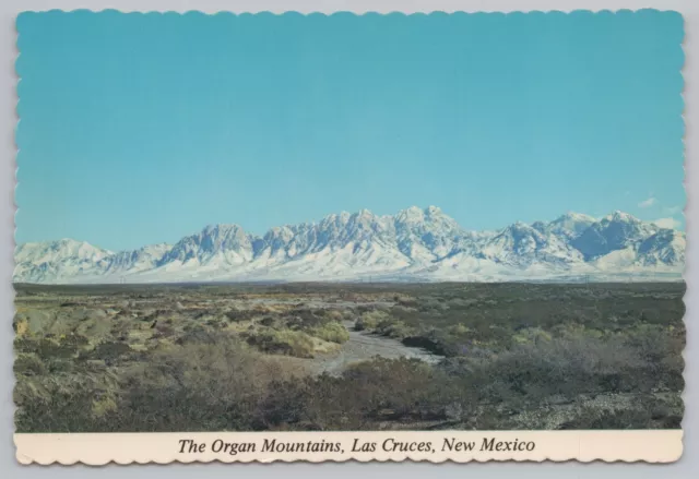 State View~Panorama of Organ Mountains Las Cruces NM~Continental Postcard