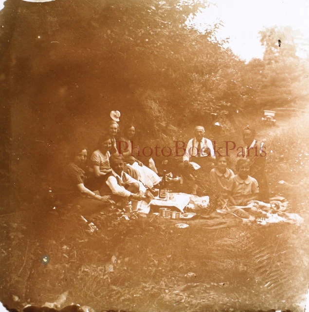 Family Lunch on the Grass c1930 Photo Glass Plate Vintage V28L23n11