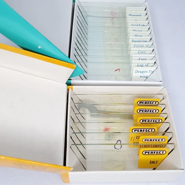 18 Science Prepared Speciman Slides Insect Plants Animal Fur Chemical Crystals