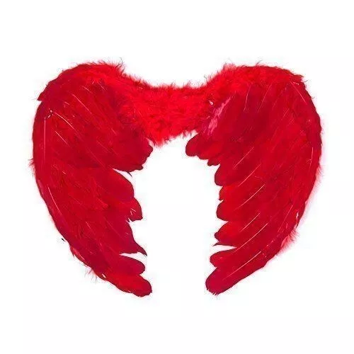 Red Feather Devil Angel Wings Fancy Dress Halloween Costume Wings