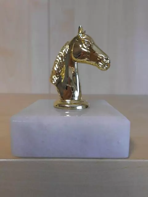 Reiten Pokal Figur Turnier Kinder Trophäe Pokale Reitsport Ponyhof Pferde (pf18)