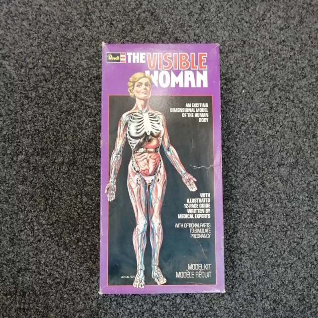 Revell The Visible Woman 1977 H - 901 Vintage DM Skin Skeleton Organs