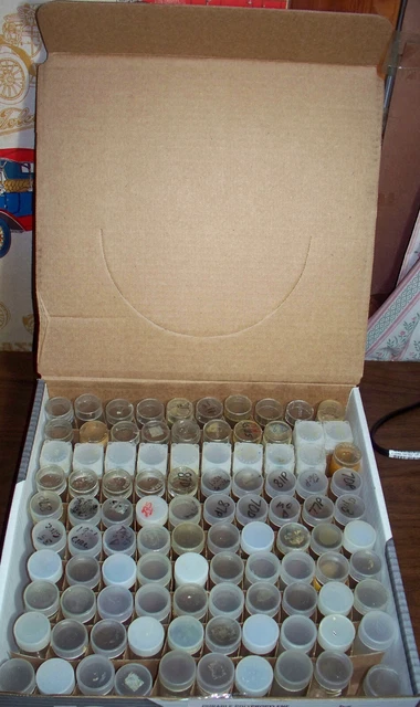 Quarter Size plastic coin tubes - Full Box of 100 pre owned - brand/type mixture
