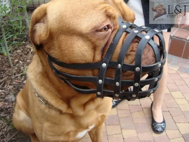 Leather Dog Muzzle | Light & Strong | Dogue de Bordeaux, Bullmastif or similar 3