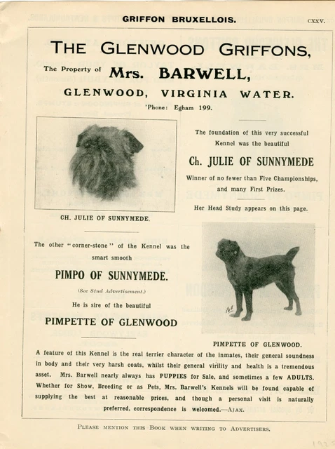 Brussels Griffon Old 1925 Named Dogs Glenwood Kennel Advert Print Page