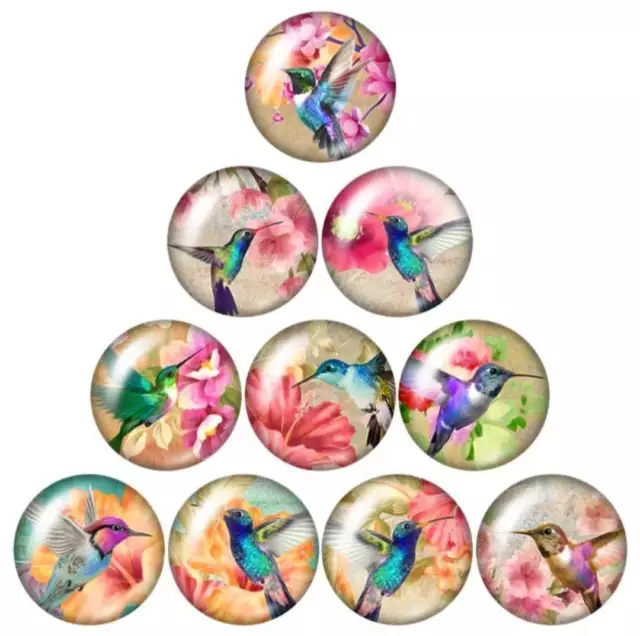 Glas Cabochons Vogel Kolibri 12 mm 14 mm 16 mm 18 mm 20 mm 25 mm 30 mm #117