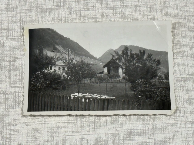 Foto Anni 30 CAMPOROSSO Agosto 1934 treviso