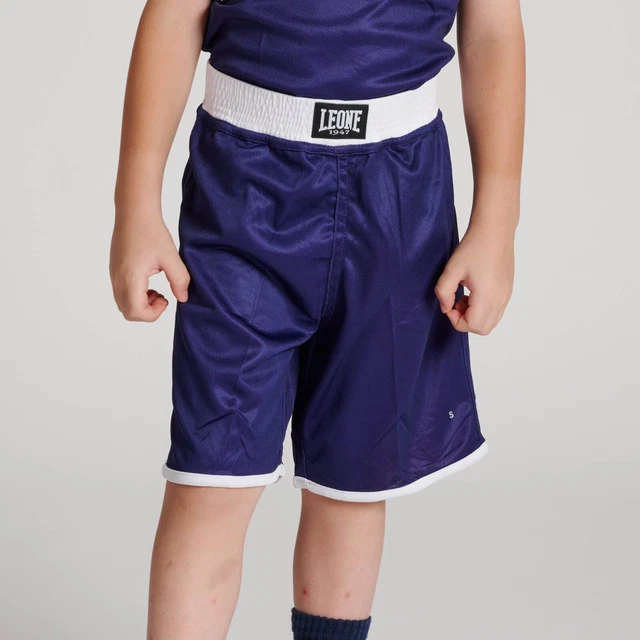 Plastron De Boxe / Taekwondo / Karate SDI Réversible Rouge/Bleu – Taille Junior – Neuf