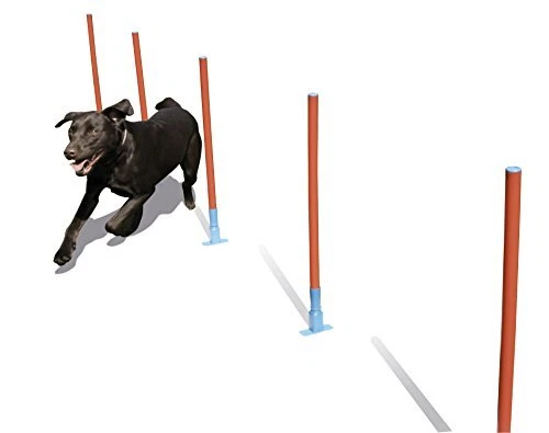 Dog Agility Slalom include borsa facile da montare giunti flessibili per sicurezza