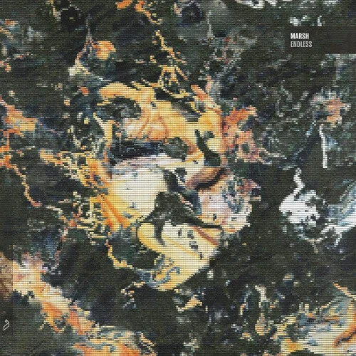 ENDLESS (2LP) by Marsh