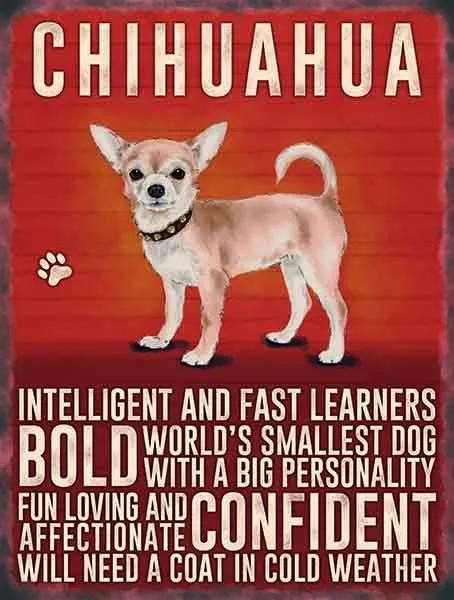 CHIHUAHUA DOG 12"X 8" MEDIUM METAL SIGN WITH CHARACTER DESCRIPTION 30X20cm/DOGS