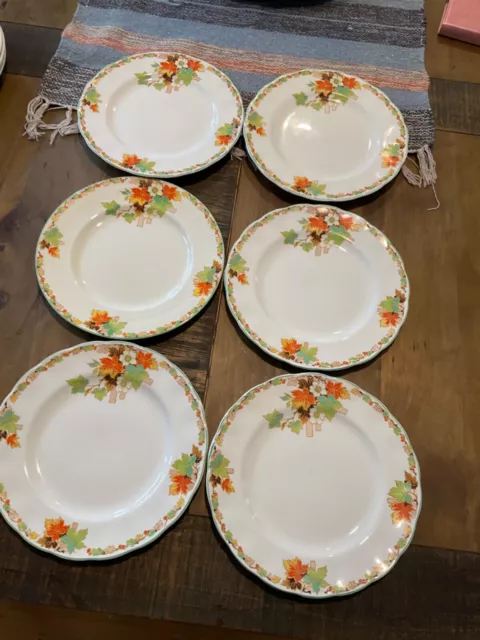Vintage Grindley England entrée plates x 6 22.5cm Autumn pattern