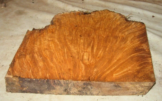 Bloque De Arce Burl Borde Vivo Torneado Artesanía Carpintería Aprox 10.25X9X1.75 In