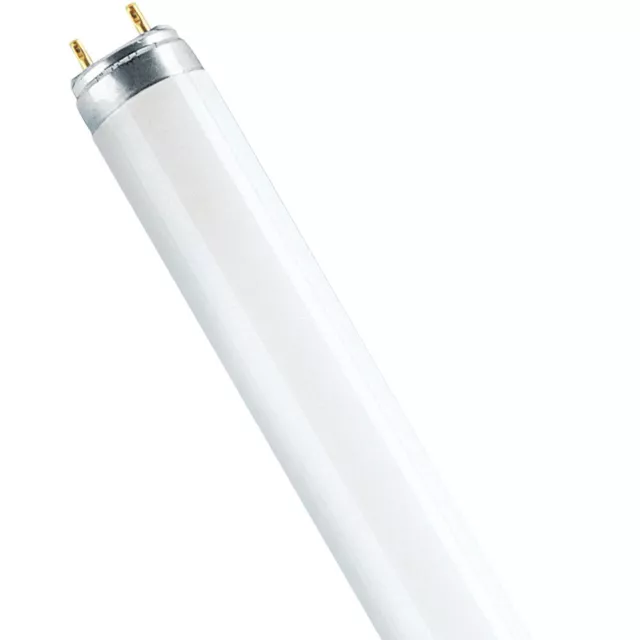 Osram Leuchtstofflampe T8 L 18W/880 Lumilux Skywhite G13 8000K 60cm Neonröhre