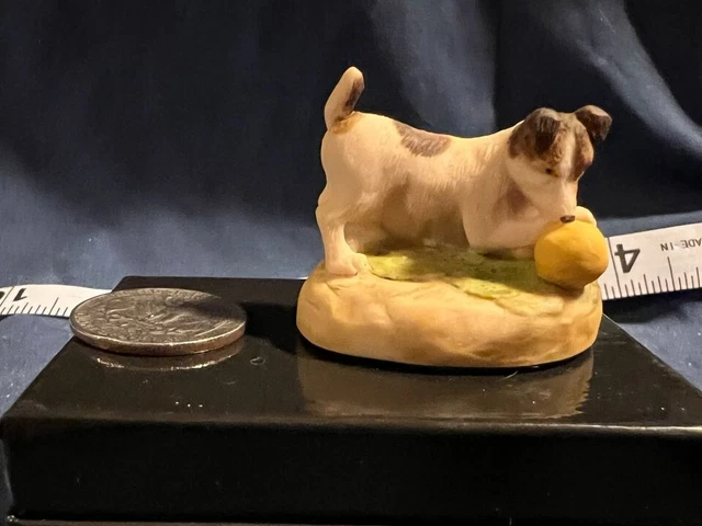 Tan & White Jack Russell Terrier with Ball - Arista of Scotland