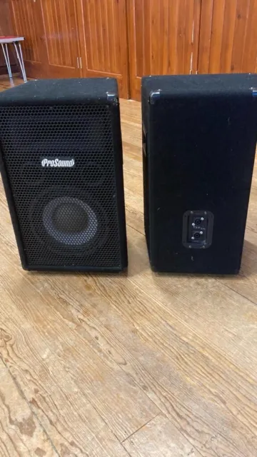 Pro Sound 10” 200 watt Speakers