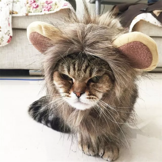 Furry Lion Cheveux Crinière Chien/Chat Chapeau Eau/Oreilles Mignon Costume Pet