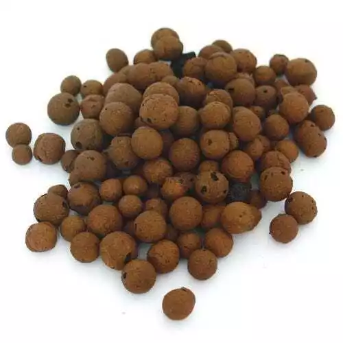 Argilla Espansa Plagron Euro Pebbles 8-16mm (10L)