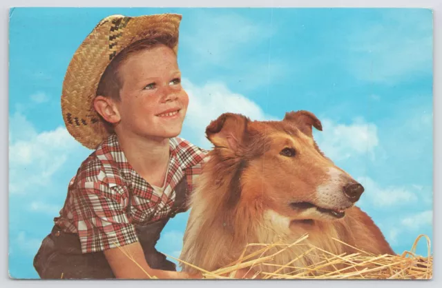 Animal~Pals~Smiling Boy W/ Collie Dog~PM 1967~Dexter Press~Vintage Postcard