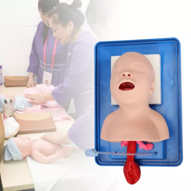 Lab Airway Intubation Manikin Study Infant Model, Management Trainer Aid PVC NEW