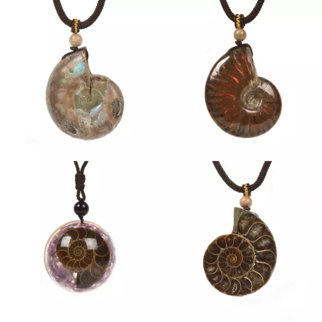 Natural Rainbow Ammonite Fossil Healing Reiki Necklace 16 to 26 inch