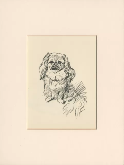 PEKINGESE  LOVELY OLD  1937 MOUNTED DOG ART PRINT by LUCY DAWSON