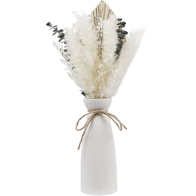 120 Herbes à Queue De Lapin Séchées – Longueur 35 Cm – Déco Bohème Style Pampa Pour Vase, Salon, Chambre