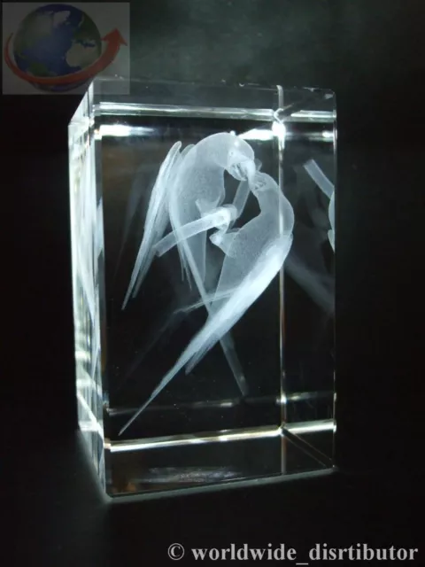 Crystal Images Laser Crystal Lovebirds 3635 Presentation Boxed