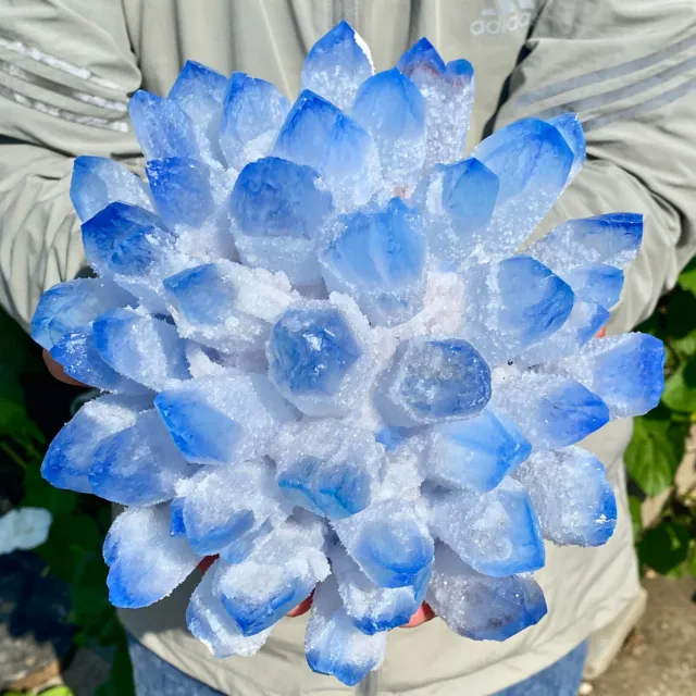 11LB New Find BLUE Phantom Quartz Crystal Cluster Mineral Specimen Healing 3