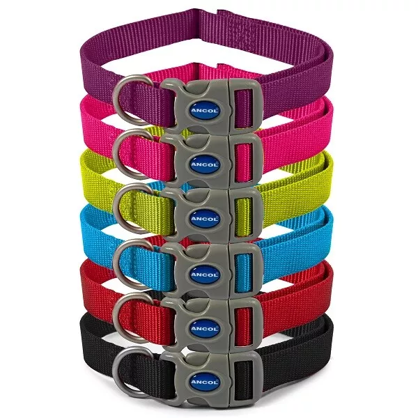 Ancol Adjustable Dog Collar Nylon Viva Puppy in Pink Blue Red Black Purple Lime