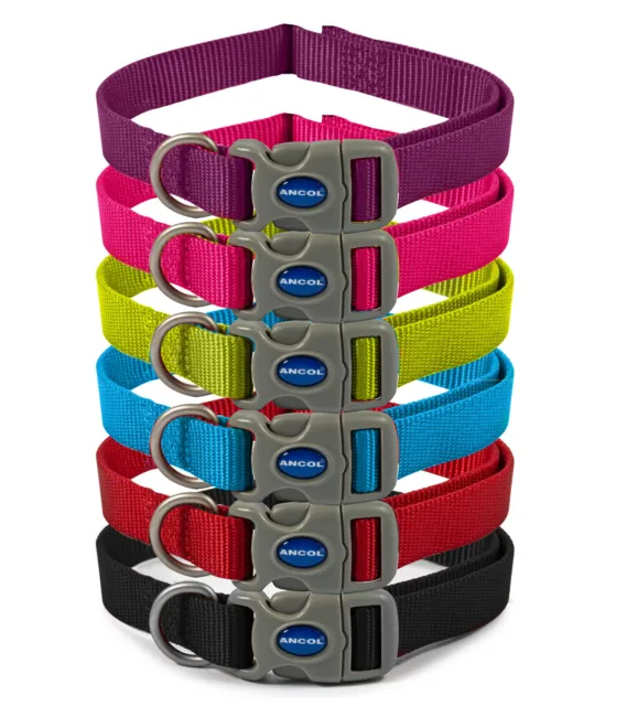 Ancol Viva Adjustable Dog Collars available in Blue, Red, Purple, Pink and Black