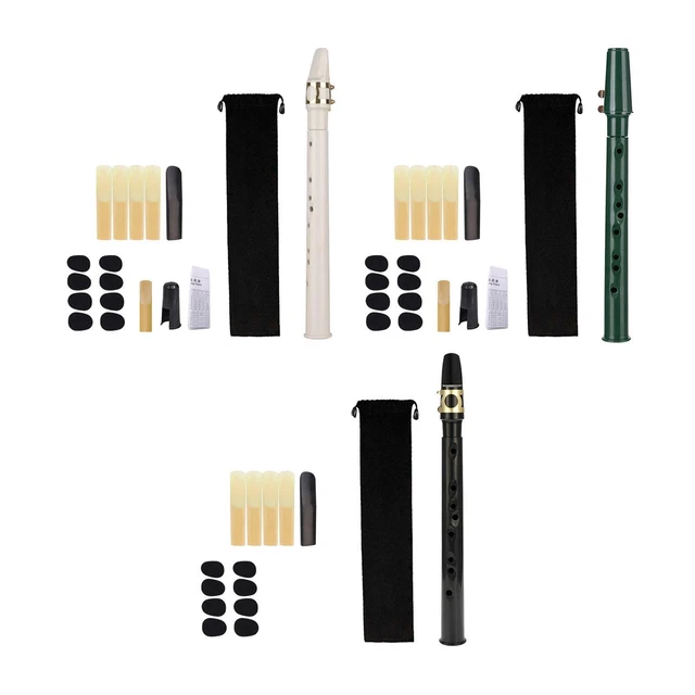 Pocket Saxophone with Mouthpiece Reeds Easy to Play Mini Sax Woodwind Instrument