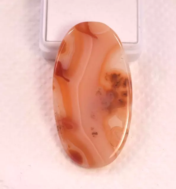 43.40 Ct Natural Polished Orange Brazilin Carnelian Agate Certified Gemstone