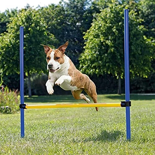 Mascotas perros juegos al aire libre agilidad ejercicio entrenamiento equipo de salto barra de obstáculos