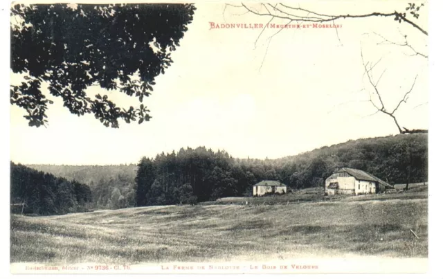 (S-105240) France - 54 - Badonviller Cpa