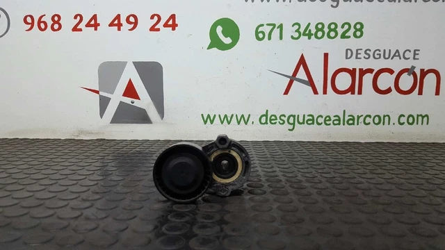 311843 Tendeur De Courroie Auxiliaire Pour Renault Clio Iii | 117503662R
