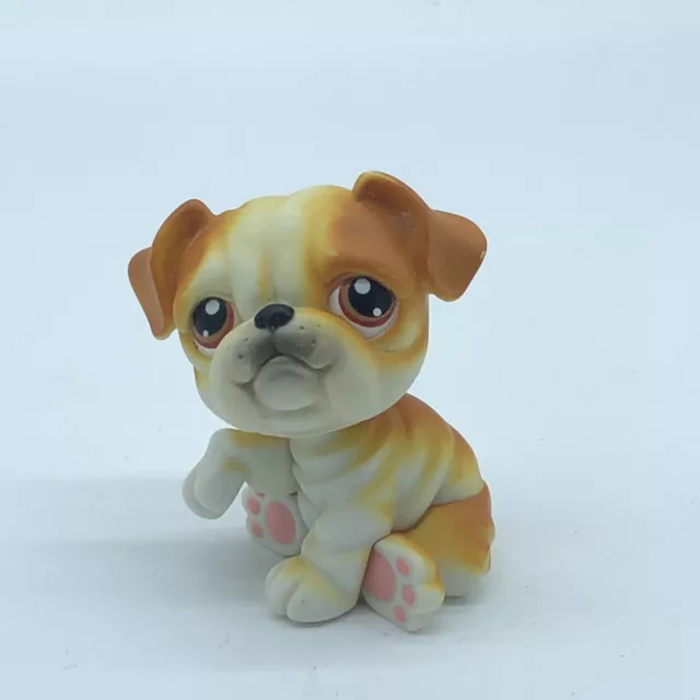 BULLDOG DOG #46- Authentic Littlest Pet Shop - Hasbro LPS