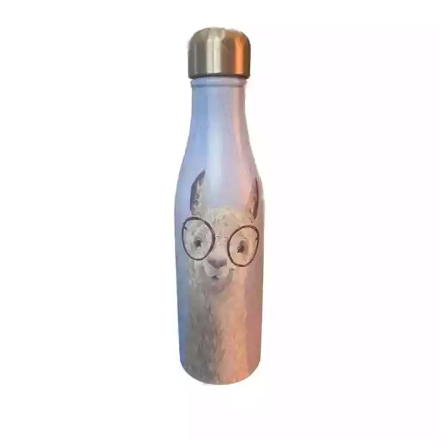 Owala Kids Flip 14-oz. Stainless Steel Water Bottle Combo Pack (2) - Dutch  Goat