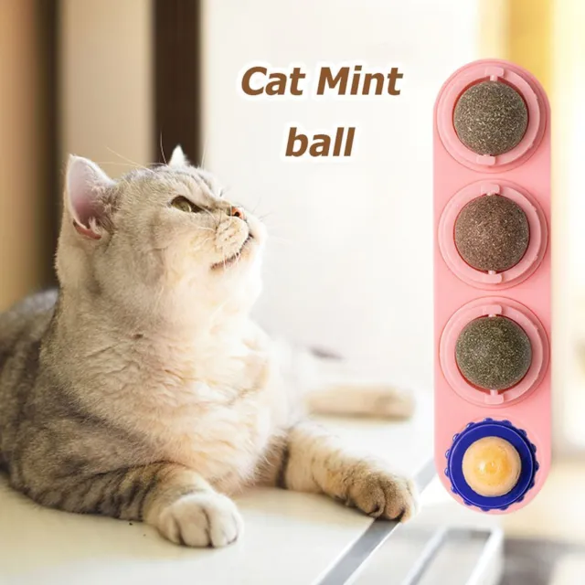 New Cat Toys Natural Catnip Balls Rotatable Interactive Cat Mint