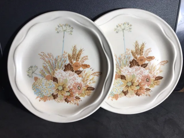 2 x Side Tea Plates, Poole  Pottery - Summer Glory - 6.6”/17cm V. Good Condition