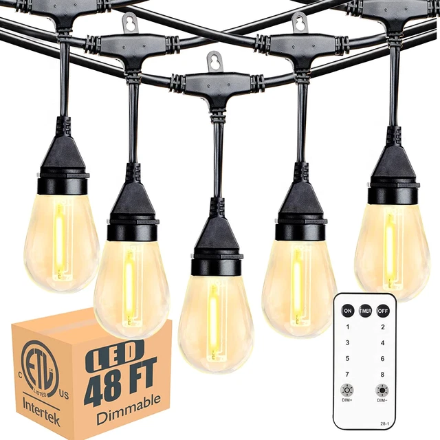 Smart Outdoor String Lights with Remote, 48FT Dimmable Multi-Function