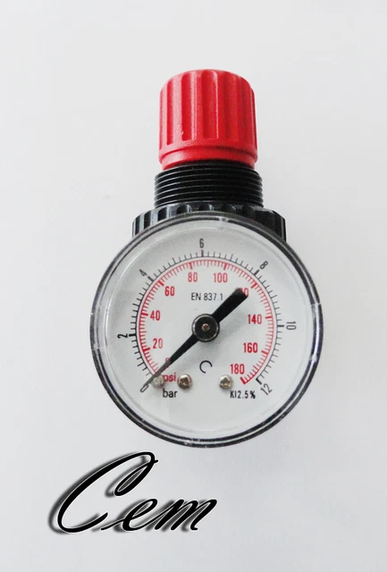 Manometro Acqua 10 Bar Attacco Posteriore 1/4″ – Dianflex Ikaro Per Autoclave