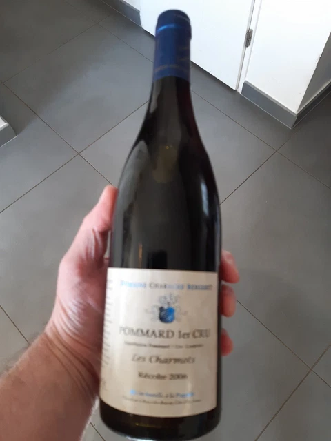 Très grand vin de bourgogne POMMARD 1er cru 2006 CHARACHE BERGERET