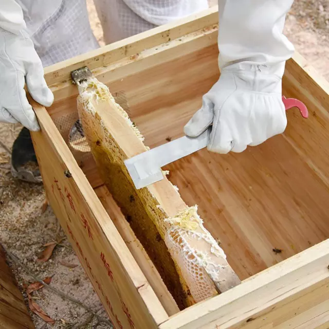 Bee Hive Tool Frame Lifter And Scraper J Shape Hook L0Z For Beekeeper 0 Y8U8 S5-