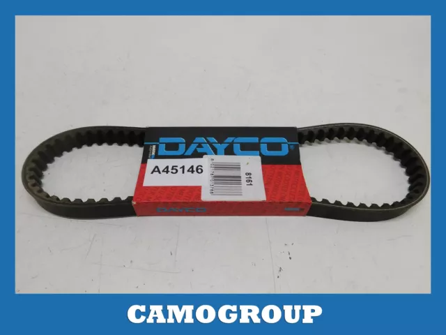 Cinghia Trasmissione Dentata Toothed Transmission Belt Dayco Piaggio Nrg 8161